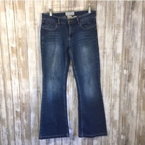 Maurices Molli Flare Jeans